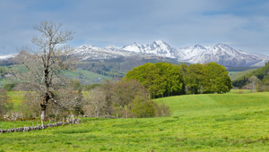 Gestion de Patrimoine Mont-de-Marsan